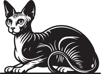 Sphynx Cat Vector Black and White Line Art Illustration