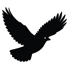 eagle vector illustration