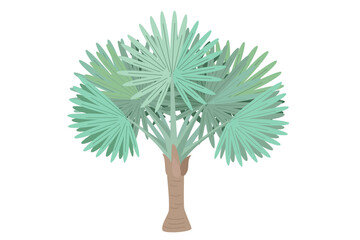vector flat palm tree. Clip art isolated on transparent background.