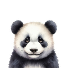 Fototapeta premium oso panda estilo acuarela. fondo transparente. png
