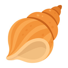 Twisted Seashell Illustration