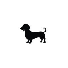 Cute Dachshund dog silhouette on white background
