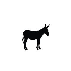 Donkey silhouette on white background