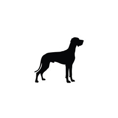 Great dane Dog silhouette on white background.