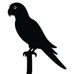 bird on a branch