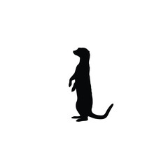 Meerkat silhouette on white background