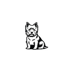 Sitting West highland Terrier dog silhouette on white background