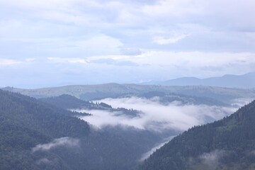 Picturesque view of beautiful mountains covered with fog