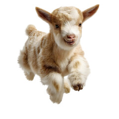 Naklejka premium Playful goat kid jumping mid-air isolated on transparent background