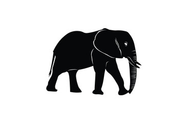 elephant vector illustration