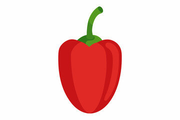 red hot chili pepper vector illustration 