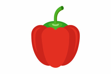 red hot chili pepper vector illustration 