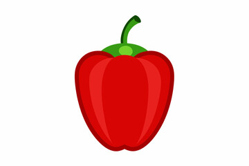 red hot chili pepper vector illustration 