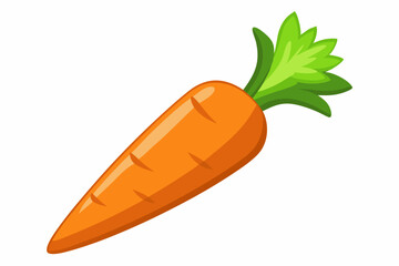 carrot vector illustration illustration 