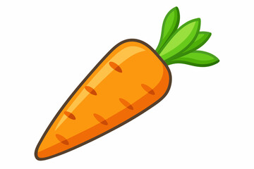 carrot vector illustration illustration 