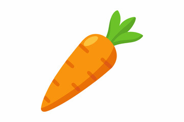 carrot vector illustration illustration 