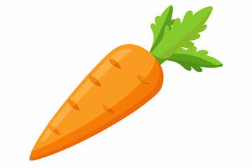 carrot vector illustration