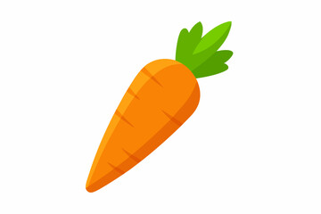 carrot vector illustration illustration 