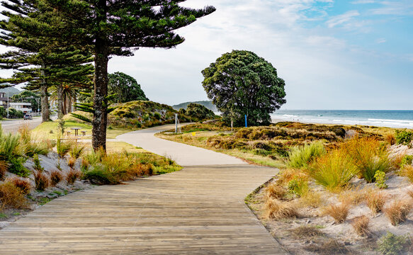 Mount Maunganui, New zealand