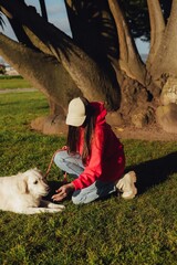 Young woman trains golden retriever puppy in the park in sunny weather. Happy dogs concept. Part of...