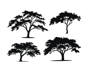 Silhouette of Cherry Tree in Minimal Vector Template