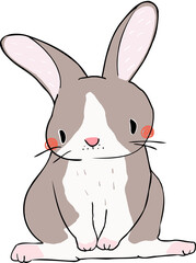 Cute Cartoon Rabbit Character