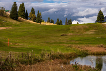 view of autumnal forest in Trentino Alto Adige with warm colors	
