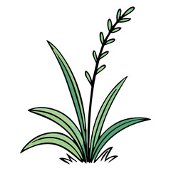 Hand drawn shrub bush shrubbery tree. set of garden plant element. Eco element