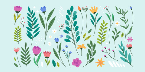 Flower leaves and berries Hand Drawn Flat Set