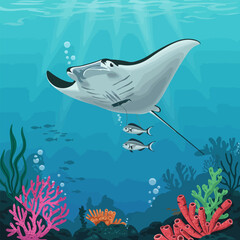 Manta Ray Swimming in the Ocean with Small Fish and Coral