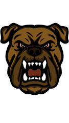 Vector head of a fierce and angry bulldog dog showing its fangs
