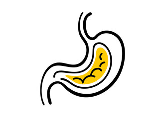 Obraz premium Vector Illustration of Human Stomach with Simplified Digestive Content