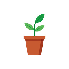Young Plant in Pot isolated on transparent background