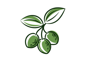 Vector Illustration of Green Olives with Stem and Leaves
