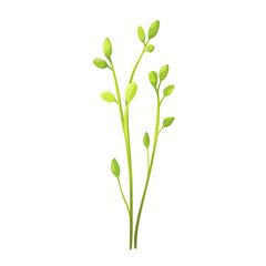 Naklejka premium Two Green Stems With Leaves On White Background