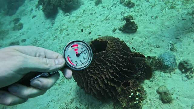 Diver hand holds submersible pressure gauge swimming over coral on sea bottom closeup. Sportsman checks air amount in balloons diving in tropical ocean depths
