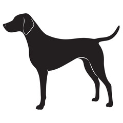 Black and white silhouette of a Hunting dog standing 