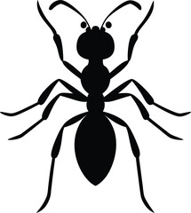 Top view black ant silhouette isolated on white background. Ant icon vector illustration design.