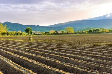 Spring countryside landscape of brown farmland field with forrows for growing vegetables with...