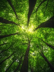 Fototapeta premium Majestic Canopy: A Verdant Forest's Embrace
