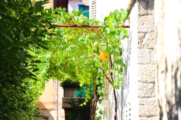 Traditional Mediterranean architectural details in Trogir, Croatia.