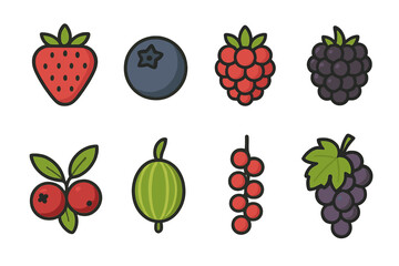 Fruits classified as berries are strawberry, blueberry, raspberry, blackberry, cranberry, gooseberry, redcurrant, and grape
