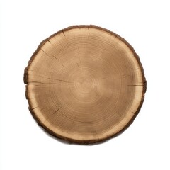 Fototapeta premium Round wood slice with rings shown on white background