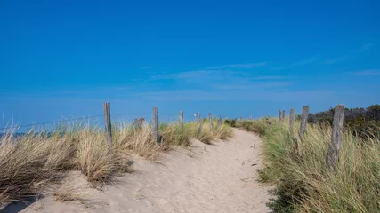 Path through the dunes with fence and beach grass on the North Sea coast