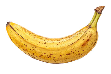 A bunch of yellow bananas, a healthy and sweet tropical fruit, is isolated on a white background.