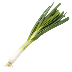 A scallion isolated on a transparent background