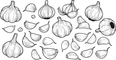 Stylized illustrations of various garlic cloves and bulbs arranged in a creative pattern

