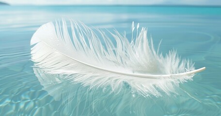Delicate white feather floats gracefully on tranquil turquoise waters under clear skies.