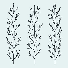 Hand drawn wild flowers Botanical drawing. Simple line art frieze, stems illustration. Black and White Meadow herbs. Stylized blooming twigs plants. Set of outline doodle floral sketch Leaves border