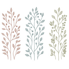 Hand drawn wild flowers Botanical drawing. Simple line art frieze, stems illustration. Black and White Meadow herbs. Stylized blooming twigs plants. Set of outline doodle floral sketch Leaves border